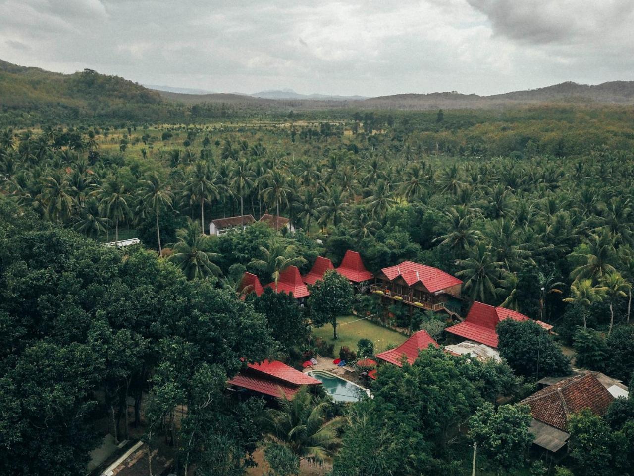 Hotel Mojosurf Camp Red Island Pasanggaran Exterior foto